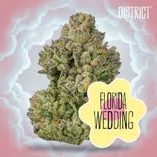 District Cannabis | Florida Wedding Pre-Packaged | 7g