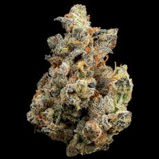 3.5g Gas Face | TAX INCLUDED