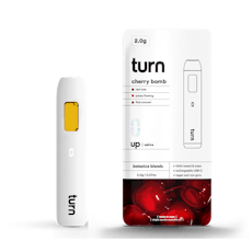 Turn TURN UP All-In-One Disposable 2g - Cactus Cool