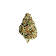 RED FOX | OREO BLIZZARD | HYBRID | DELI-STYLE FLOWER | REC