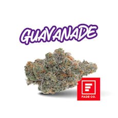 Fade Co. | Guavanade | SMALLS | 7g