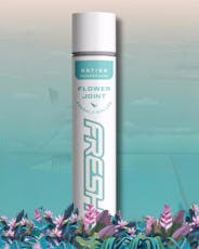 Fresh | Montmorency (H) Pre Roll | .5g