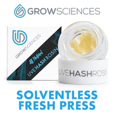 Pineapple Bang 11 | Live Rosin Fresh Press | 1g