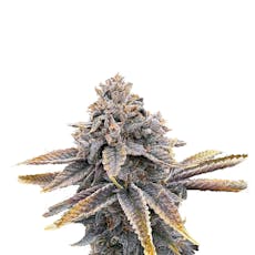 Victory Natural Farms - Sour Blueberry - 7g Flower