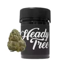 Heady Tree | Tear Gas | 3.5g