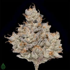 Green Dot - Pre-Packed - Final Boss - (H) 7g