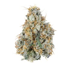 Campfire Cannabis | Gary Payton | 1/8oz Flower