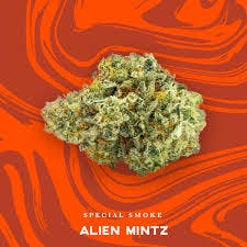 VIVID PRE-PACK FLOWER ALIEN MINTZ (H) 3.5G