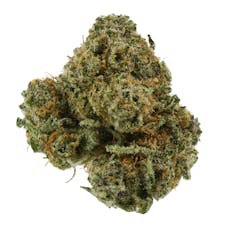 Wiser Buds | Trop Cherry