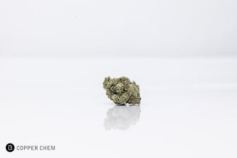 1oz Golden Goat - Bold