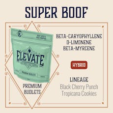 ELEVATE - BUDLETS - 7G - SUPER BOOF - HYBRID