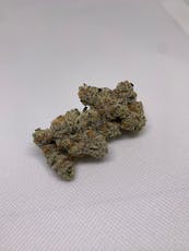 Purple Candy Gas - Noble Farms (IH)