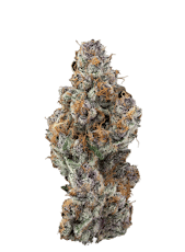 3.5g Trop Cherry | TAX INCLUDED