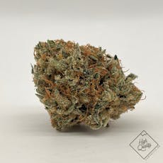 Off World #11 - Focus North (H)