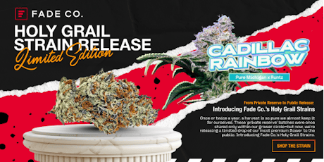 Cadillac Rainbows - Holy Grail Buds - 3.5g