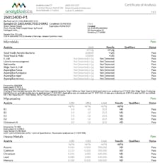 FIND. Preroll 1g Single Diesel Bites (S) 01466