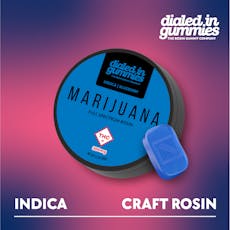 DIALED IN - GUMMIES ROSIN - 300MG - 10PK - BLUEBERRY - INDICA