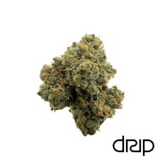 (DRIP) Top-Shelf Flower 3.5g (Jack Herer)