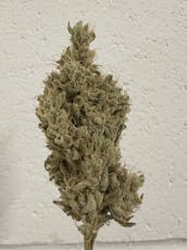 Flower: Cinnamon Toast