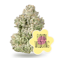 Florida Wedding: Diamond Infused 2 pk (0.5g) - District Cannabis