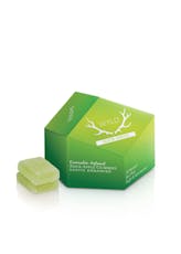 WYLD Sour Apple Gummies 10ct 100mg