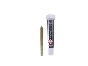 Infused Pre-Roll Dadirri Bubble Hash Cone HYBRID - 1g