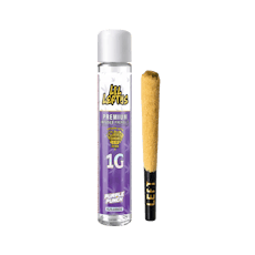 Left Coast | Infused Purple Punch l Pre-Roll | 1g