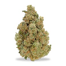 Kaprikorn - Spritzer