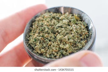 Fluffer Nutter: GROUND