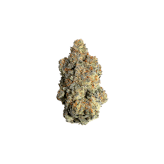 GOLDKINE | GLITTER BOMB | INDICA | DELI-STYLE FLOWER