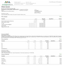 SoundView Peach RSO Gummies 00205