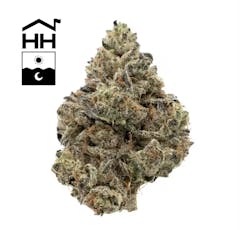 3.5g Garlic Drip | TAX INCLUDED