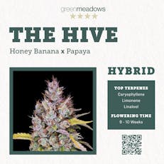 Clones | The Hive