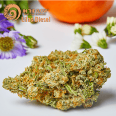 Lilac Diesel - 673 - 1g