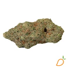 Tamarindo - Greenshift