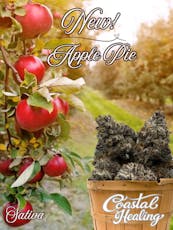 Apple Pie 1g Pre Roll