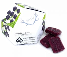 Wyld - Gummies - Marionberry (I) 100mg