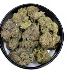 Silver Shelf - Black Maple (I)