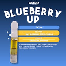 Blueberry UP | Cartridge 1g