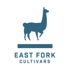 East Fork Cultivars - Pear Blossom .5G Preroll - Relax