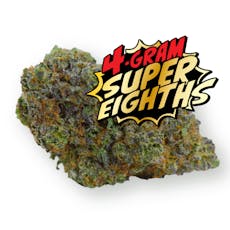 Whiplash #1 | Reserve Super 1/8th