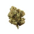 Dynamite Diesel (H) **$80 1/2 Oz. (Minimum Purchase 1/2 Oz. Quantity Required)** by Bold Cultivation
