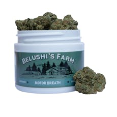 Belushi's Farm - Motor Breath - Flower - 3.5g (Jar)
