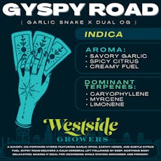 Gypsy Road Preroll 2 Pack - 1g