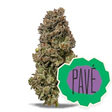 Pave Whole Flower 3.5g