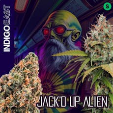 Indigo East | Jack'd Up Alien | 3.5g