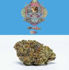 COOKIES CHEETAH PISS FLOWER 3.5G