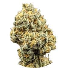 Dp Animal Face X Kush Mints #1