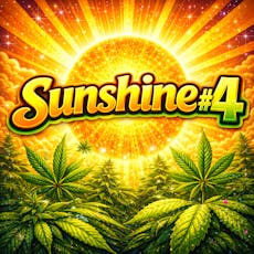 The Deli - Sunshine #4