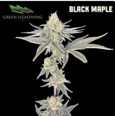 Green Lightning - Black Maple - 3.5g Flower